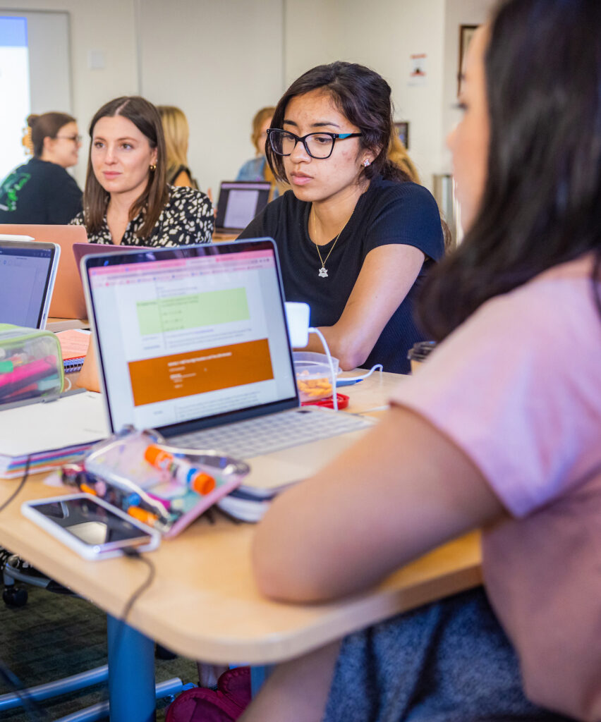 Students working together using laptops